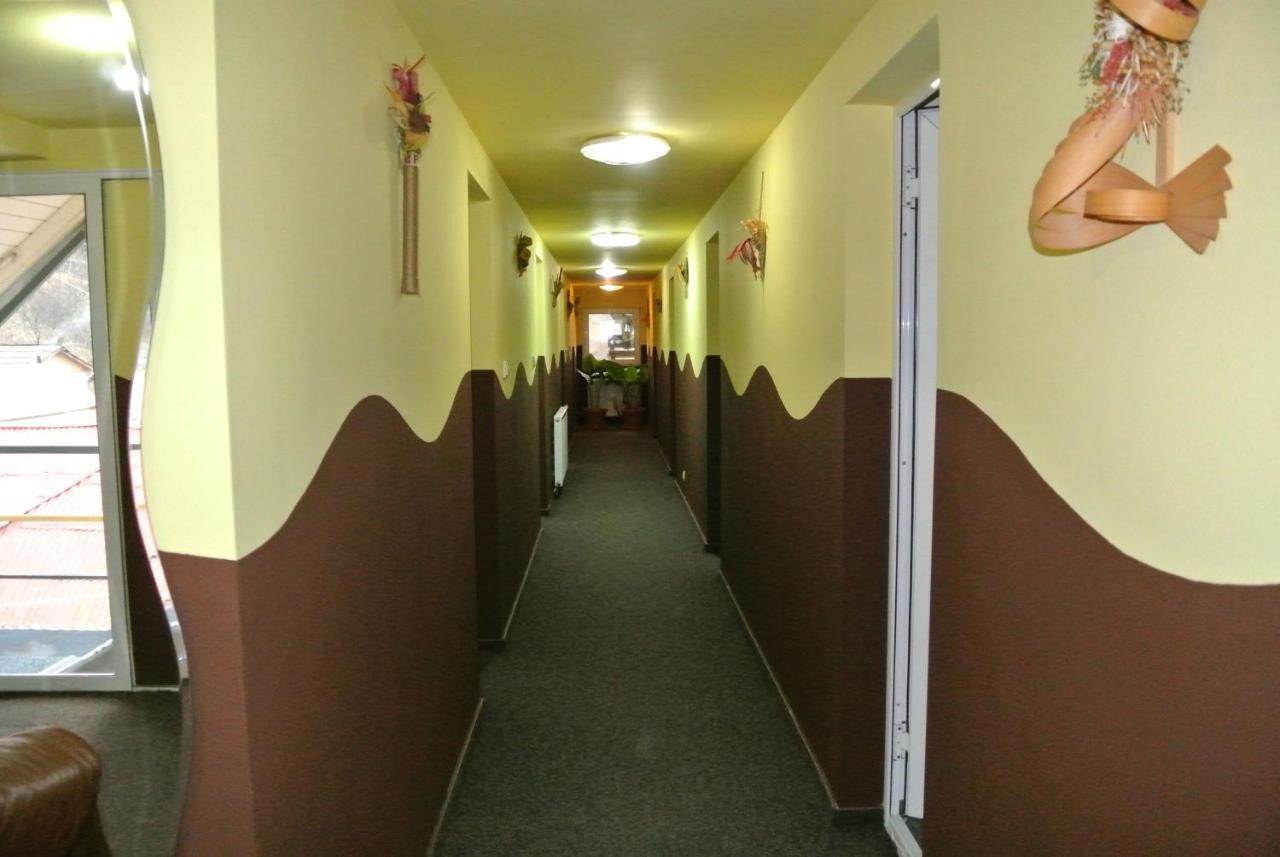 Pensiunea Serbeca Brosteni Exterior foto