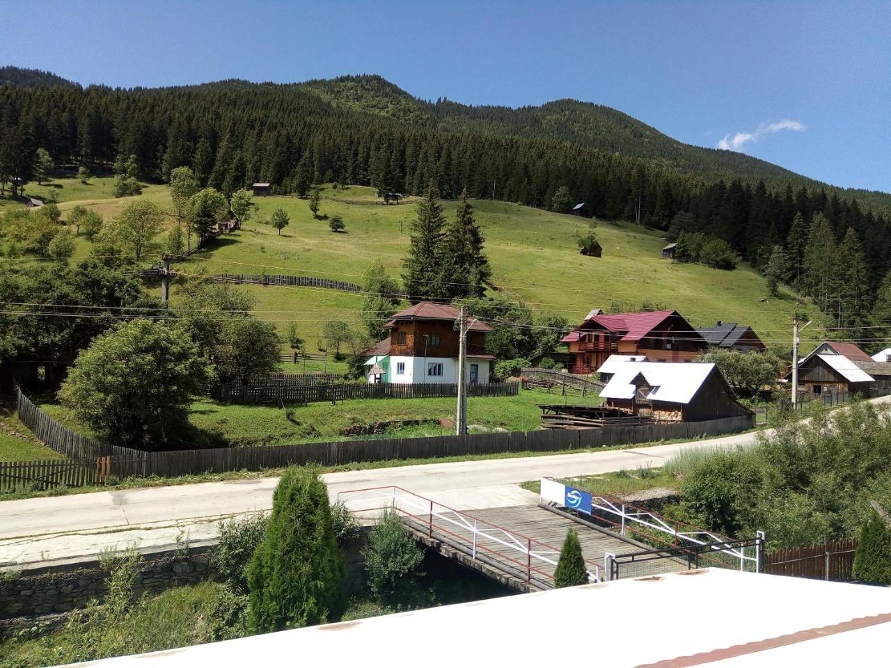 Pensiunea Serbeca Brosteni Exterior foto