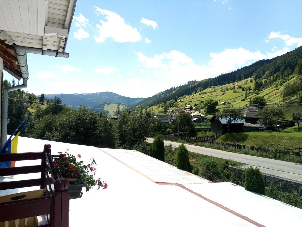 Pensiunea Serbeca Brosteni Exterior foto