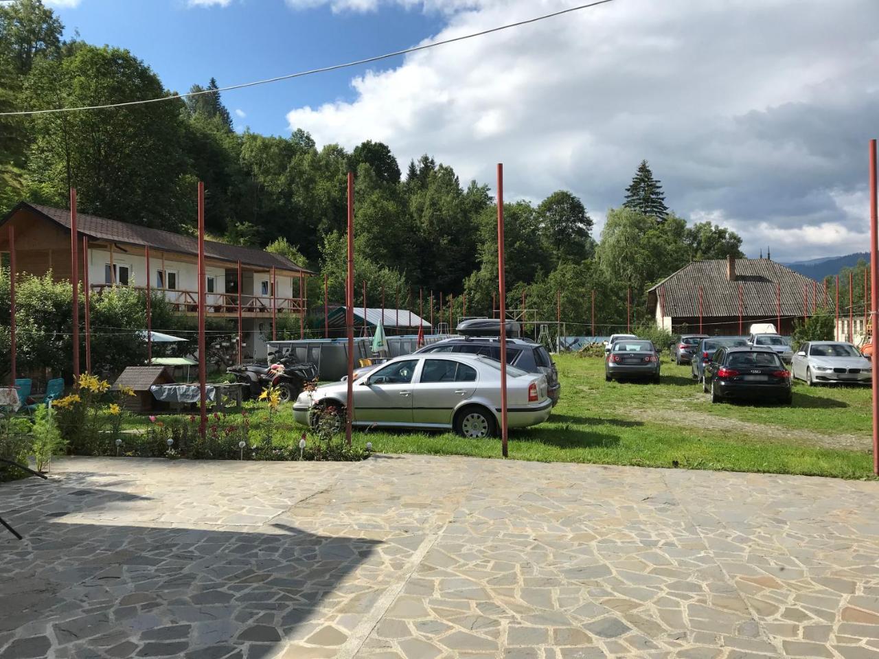 Pensiunea Serbeca Brosteni Exterior foto