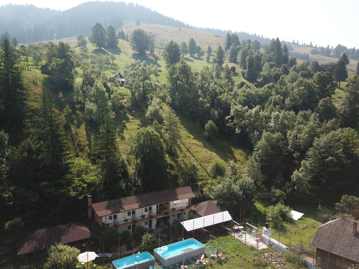 Pensiunea Serbeca Brosteni Exterior foto